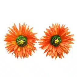 Retro Asters