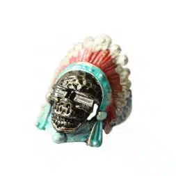 Indian Chief