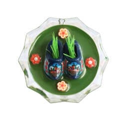 Blue Wooden shoes